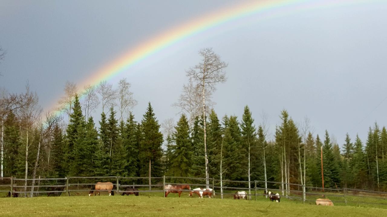 Wettstone Guest Ranch Bed and Breakfast Bridge Lake Eksteriør billede