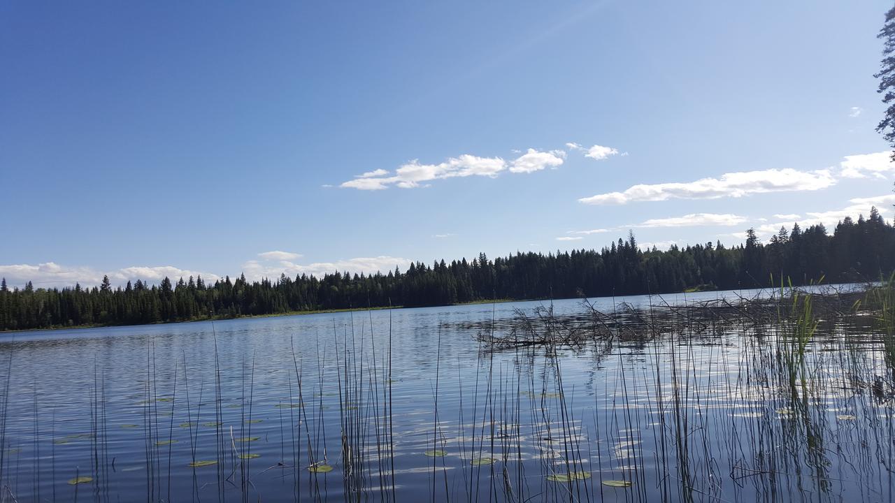 Wettstone Guest Ranch Bed and Breakfast Bridge Lake Eksteriør billede