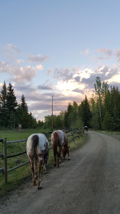 Wettstone Guest Ranch Bed and Breakfast Bridge Lake Eksteriør billede