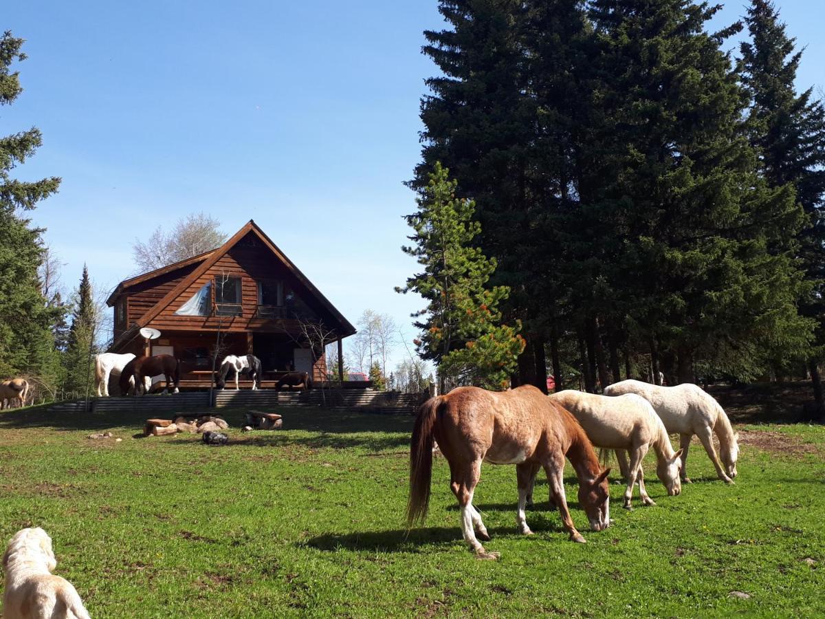 Wettstone Guest Ranch Bed and Breakfast Bridge Lake Eksteriør billede
